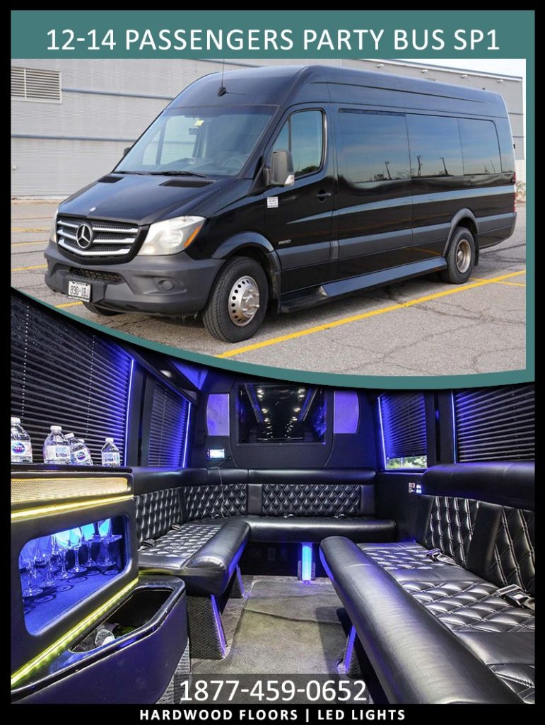 12-14-PASSENGERS-PARTY-BUS-SP1