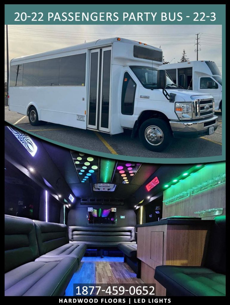 20-22-PASSENGERS-PARTY-BUS---22-3