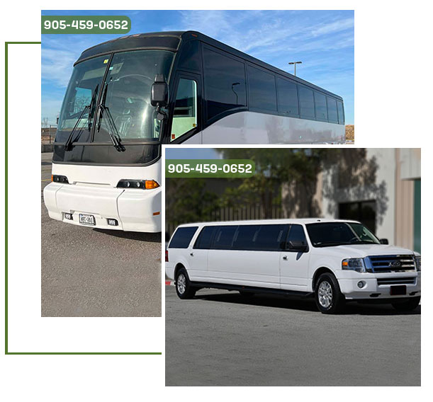 About Us | Party Bus Services in Brampton